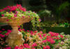 Elementy małej architektury w ogrodzie