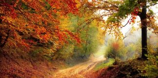 Ile cm spadku na dachu?