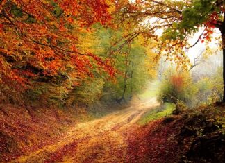 Ile cm spadku na dachu?