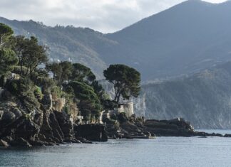 Ile kosztuje pleksa na zadaszenie?