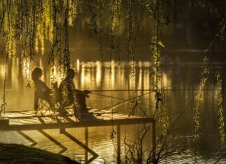 Jakie są trzy tradycyjne kolory Bożego Narodzenia?