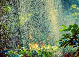 Ile zraszaczy na 200m2?