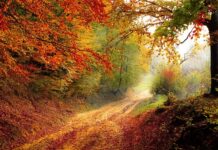 Jak obliczyć spadek ciśnienia?