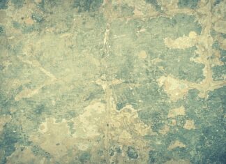 Kiedy dodać barwnik do biszkoptu?