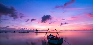 Jaki kolor do mebli ogrodowych?