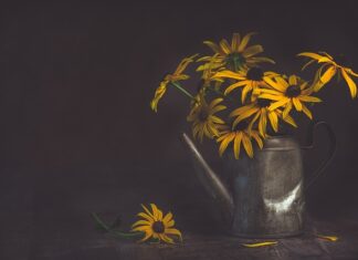 Co do podlewania ogrodu?