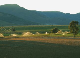 Jakie ciśnienie do zraszacza wahadłowego?