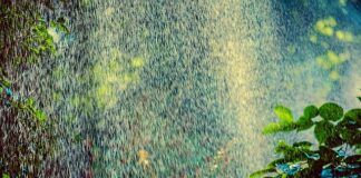 Ile zraszaczy na jednej linii?