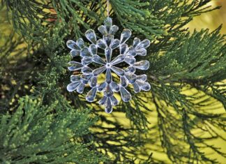 Jak ozdobić deskę do krojenia?