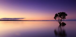 Ile wody do zraszaczy?