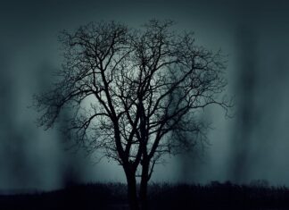 Jak można ozdobić pokój na Halloween? Jak można ozdobić pokój na Halloween?