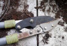 Czym się różni sekator kowadełkowy od nożycowego?