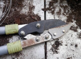 Czym się różni sekator kowadełkowy od nożycowego?