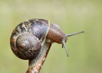 Ile prądu pobiera czujnik zmierzchu?