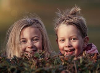 Jak ukryć wkręty w drewnie? Jak ukryć wkręty w drewnie?