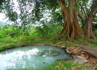 Kiedy zamawiać szambo? Kiedy zamawiać szambo?