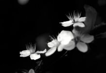 Dlaczego KNX jest drogi?