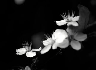 Dlaczego KNX jest drogi? Dlaczego KNX jest drogi?