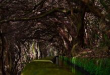 Jak zrobić ciek wodny?