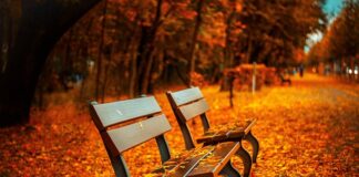 Jaka najlepsza wysokość ławki?