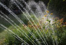 Ile wody zużywa nawadnianie ogrodu?