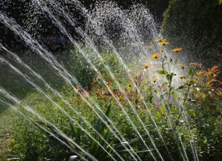 Ile wody zużywa nawadnianie ogrodu?